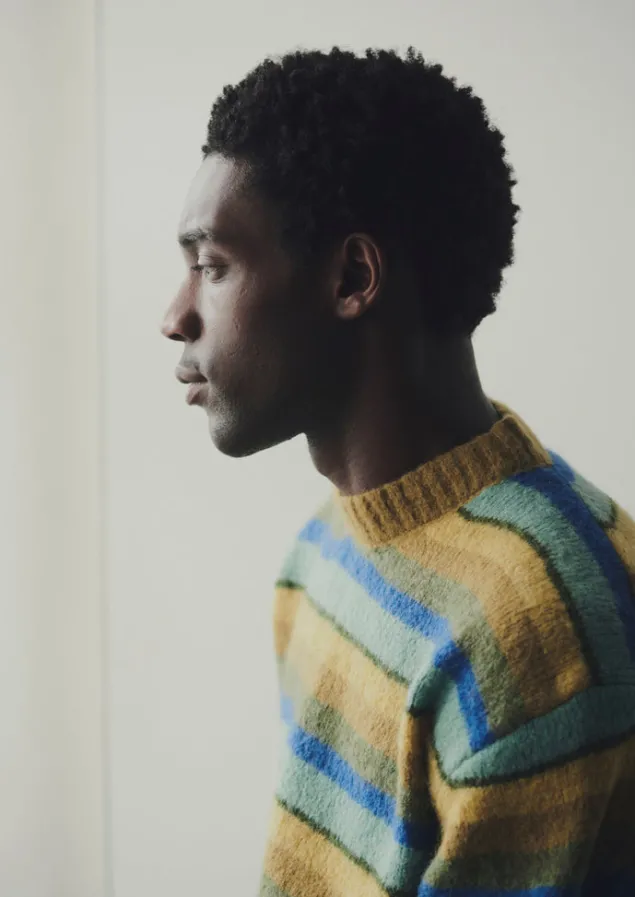 brushed_stripe_sweater_3.webp Knitwear-TOAST Brushed Stripe Sweater MustardMulti