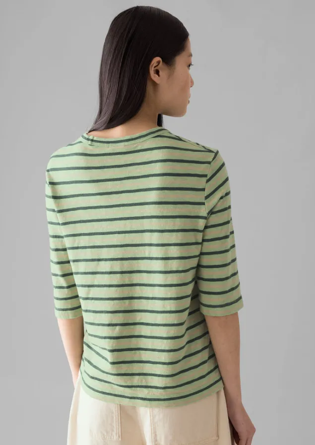 cleo_stripe_cotton_half_sleeve_tee_8.webp Jersey | Tops & Tees-TOAST Cleo Stripe Cotton Half Sleeve Tee Sage