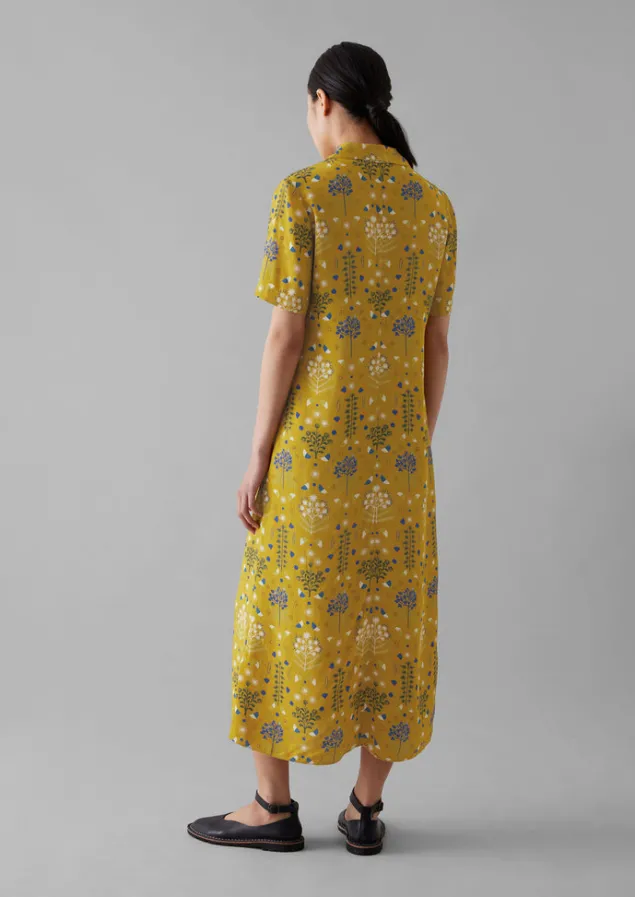 collector_print_fluid_shirt_dress_5.webp Dresses-TOAST Collector Print Fluid Shirt Dress GoldenOchre