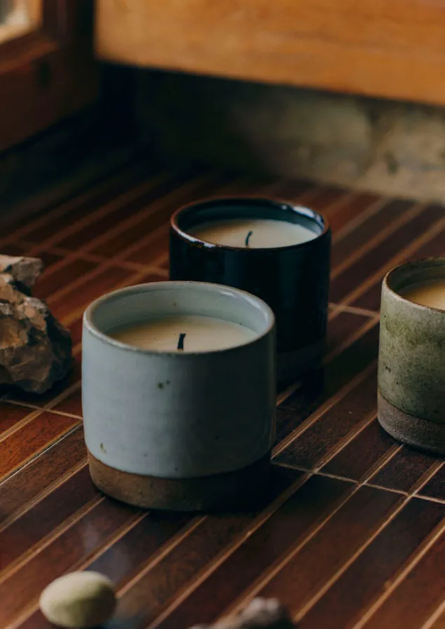 giant_fir_and_mountain_juniper_scented_candle_2.webp Candles & Holders-TOAST Giant Fir and Mountain Juniper Scented Candle GiantFiru0026MountainJuniper