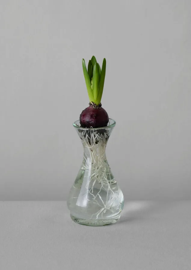 hand_blown_polonaise_vase_6-2.webp Glass | Decorative Pieces-TOAST Hand Blown Polonaise Vase Clear
