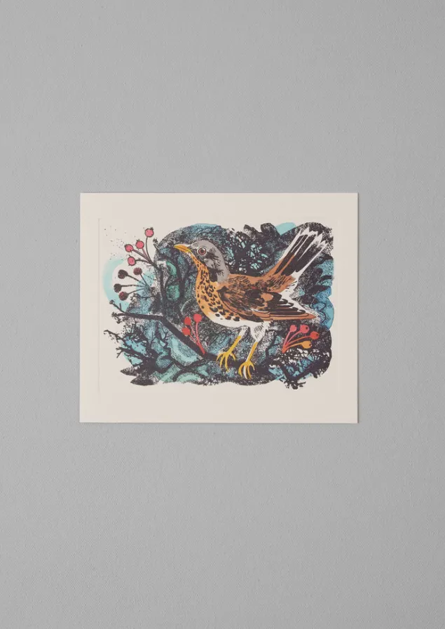 mark_hearld_greeting_card_set_3.webp Stationery | Christmas Decorations-TOAST Mark Hearld Greeting Card Set Multi