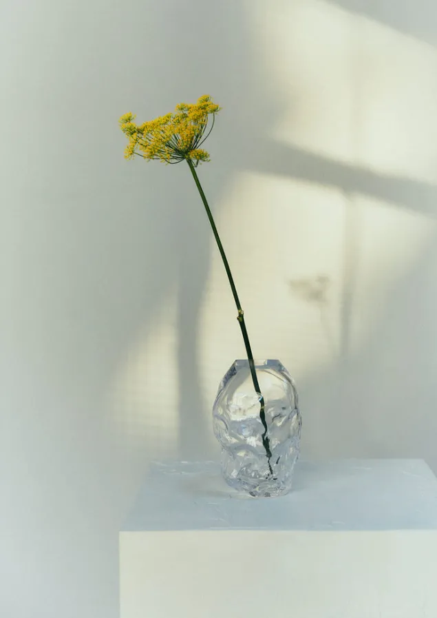 Glass | Decorative Pieces-TOAST Rosie Stonham Medium Membrane Vase Transparent