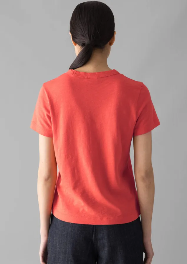 sadie_organic_cotton_boy_tee_2.webp Jersey | Tops & Tees-TOAST Sadie Organic Cotton Boy Tee Poppy