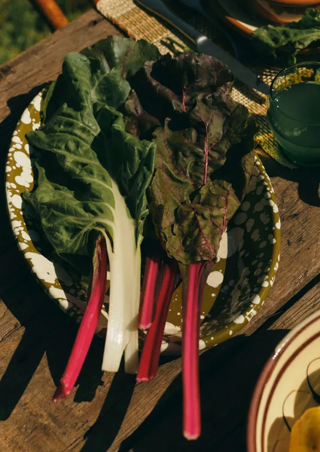 splatter_enamel_platter_17.webp Outdoor | Kitchen-TOAST Splatter Enamel Platter Olive/Ecru