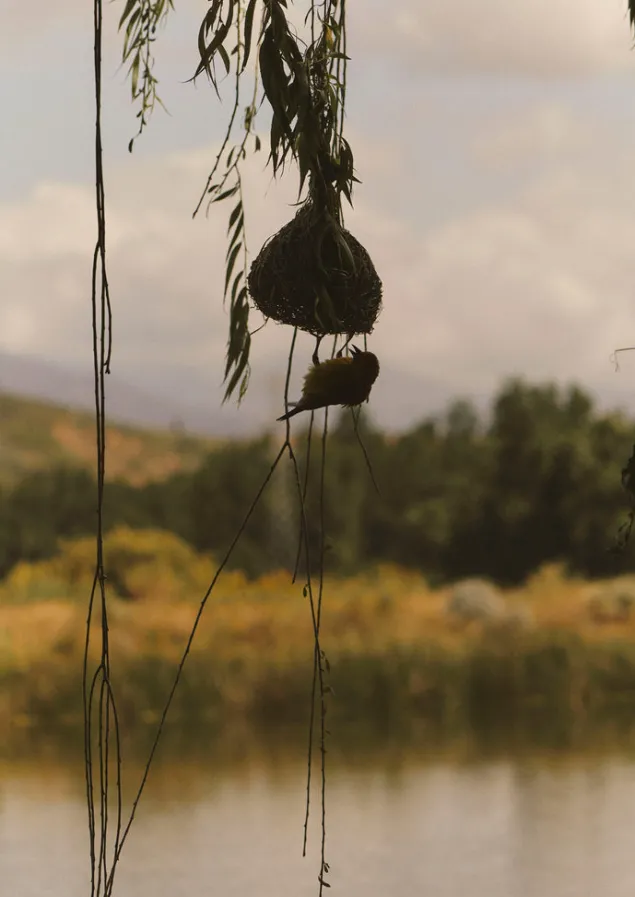 veta_vera_grass_bird_nester_4.webp Outdoor-TOAST Veta Vera Grass Bird Nester Natural